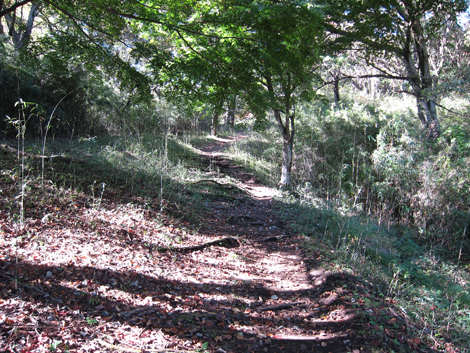 20201105hike (68)